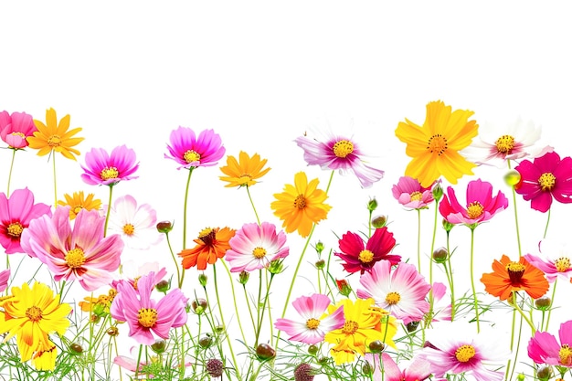 Schöner botanischer Aquarellblumen-Hintergrund