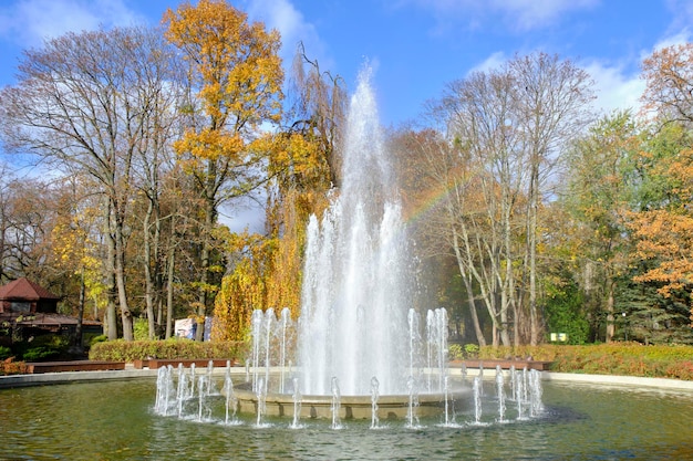 Schöner Brunnen mit blauem Himmel und Bäumen mit vergilbtem Herbstlaub