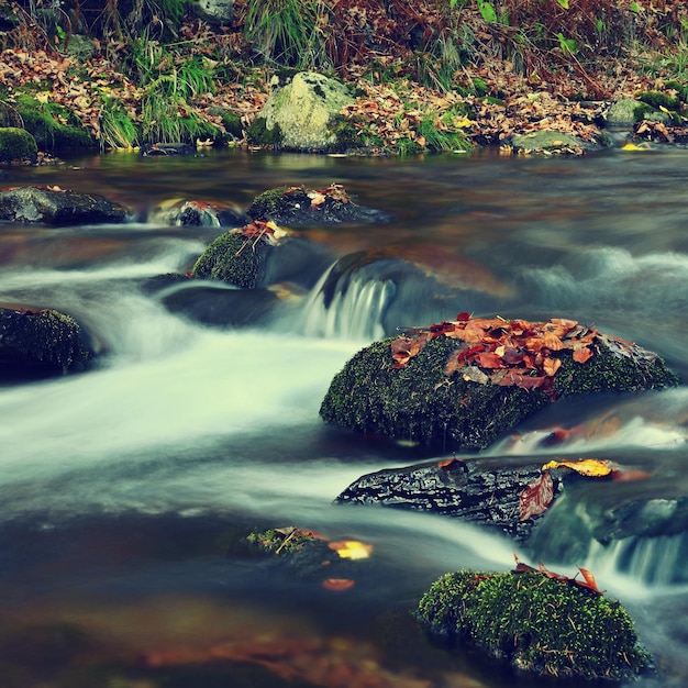 Schöner bunter Hintergrund mit Fluss und Steinen im Herbst White Opava Waterfalls Altvatergebirge Tschechische Republik