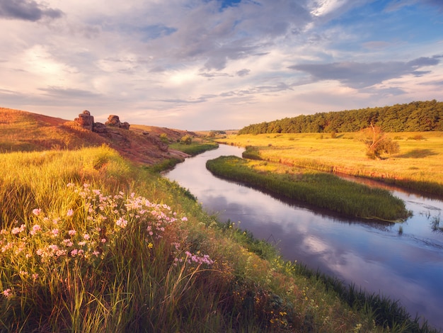 Schöner bunter Sommersonnenuntergang in dem Fluss mit Blumen