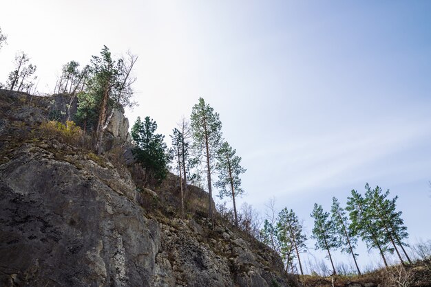 Schöner felsiger grauer Berg mit grünen Bäumen und rosa Blumen.