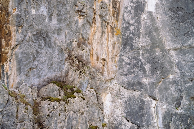 Schöner felsiger grauer strukturierter Hintergrund mit Moosen und Flechten.