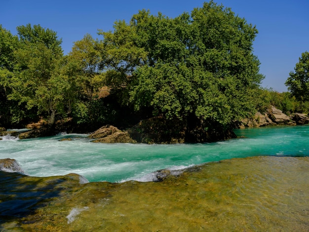 Schöner Fluss im Wald