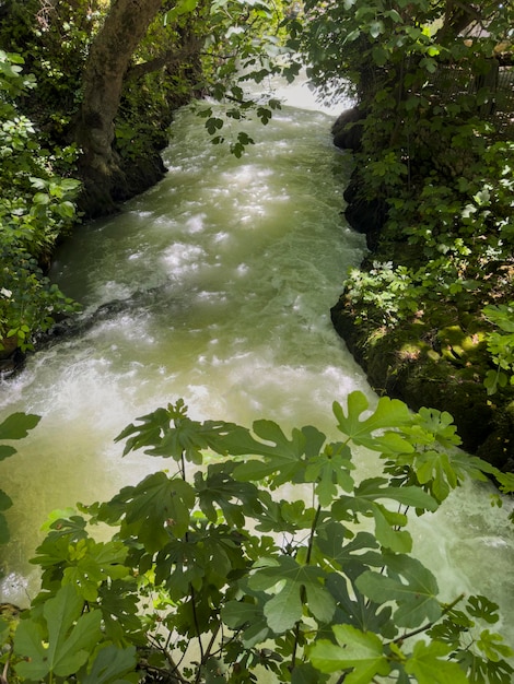 Schöner Fluss im Wald