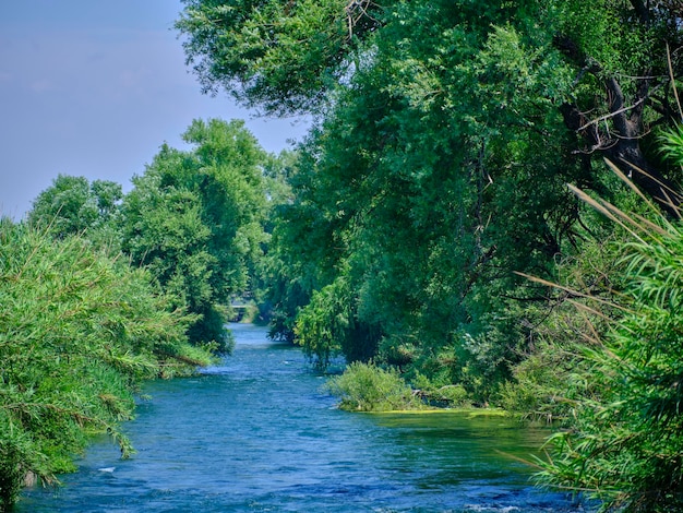 Schöner Fluss in der Natur