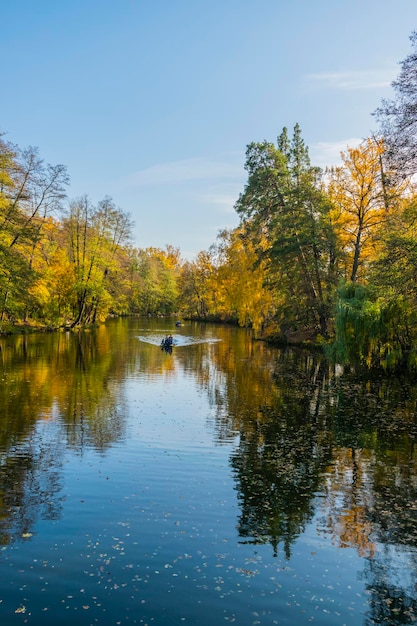 Schöner Fluss Schöne Landschaft Landschaft am Teich