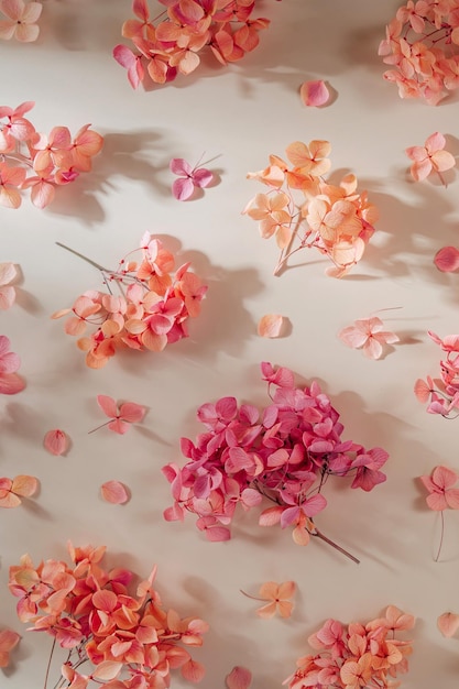 Schöner Frühlingshintergrund mit rosa Blumen Muster mit Hortensie auf beigem Hintergrund