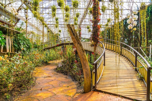 Schöner Garten an der königlichen landwirtschaftlichen Station - Doi Inthanon in Chiang Mai, Thailand