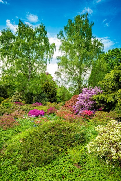 Schöner Garten mit blühenden Bäumen im Frühling