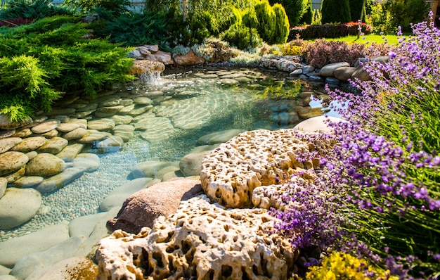 Schöner Garten mit lebendiger Vegetation