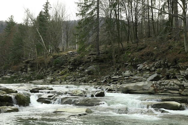 Schöner Gebirgsfluss mit Felsen und Stromschnellen