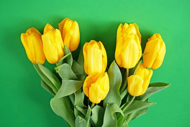Schöner gelber Tulpenblumenstrauß auf Grün