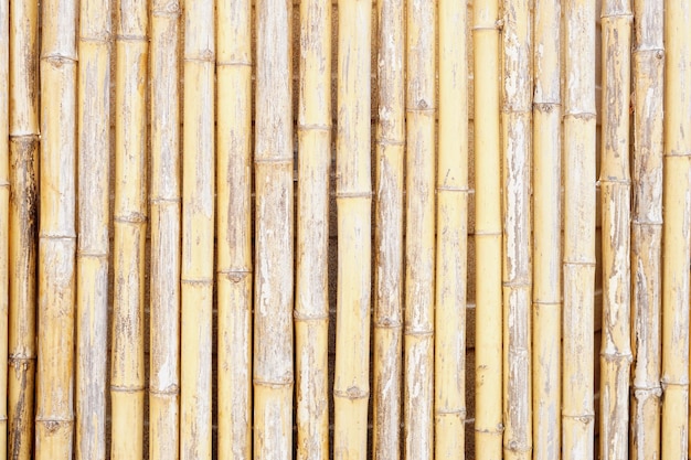schöner gezeichneter getrockneter bambushintergrund