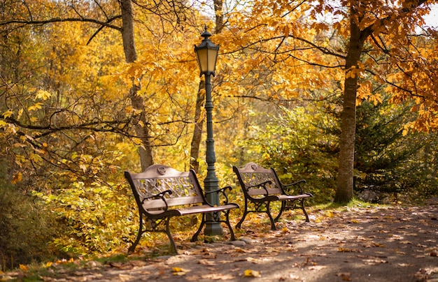 Foto schöner goldener herbstpark mit zwei holzbänken