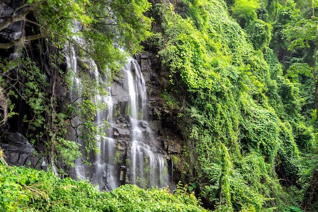 Schöner großer Wasserfall, der zwischen Felsen in einem tiefgrünen Wald fließt.