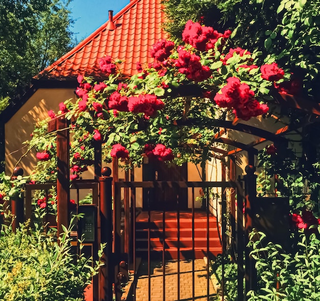 Schöner grüner Garten mit Blumen auf luxuriösem Hinterhof