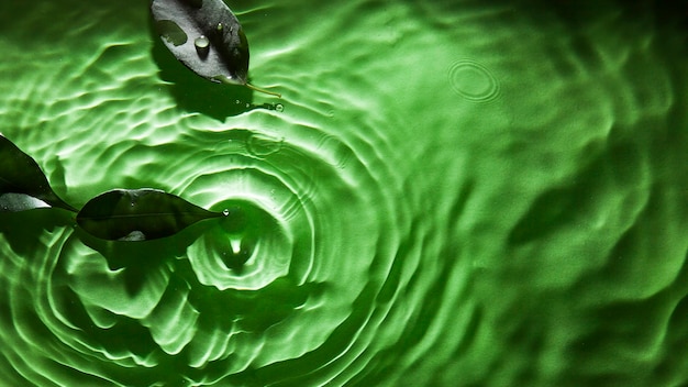 Schöner grüner Hintergrund, Lichtbrechung im Wasser