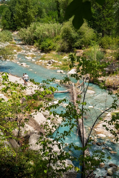 Schöner grüner Park im Sommer mit einem blauen Fluss