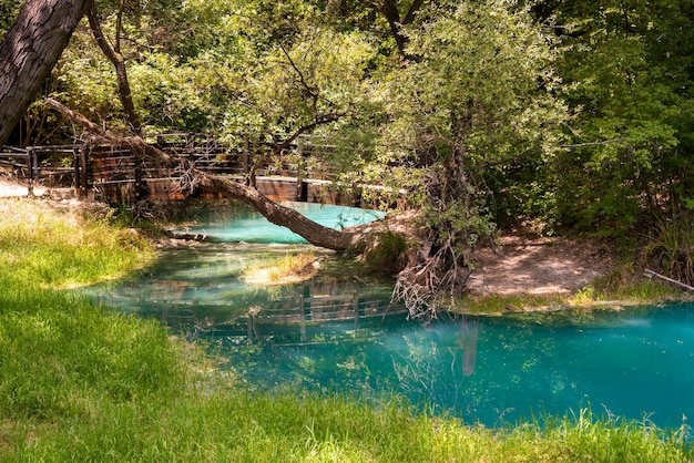 Schöner grüner Park im Sommer mit einem blauen Fluss