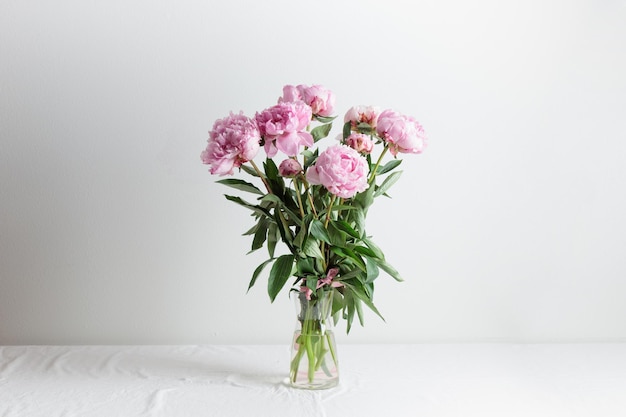 Schöner Haufen frischer pastellfarbener rosafarbener Pfingstrosen in voller Blüte in Vase mit weißem Hintergrund