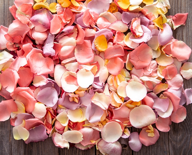 Schöner heller Hintergrund der frischen Rosenblätter. Blumenhintergrund.