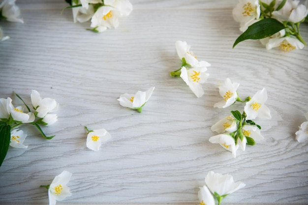 Schöner heller Holzhintergrund mit Blüten aus weiß blühendem Jasmin