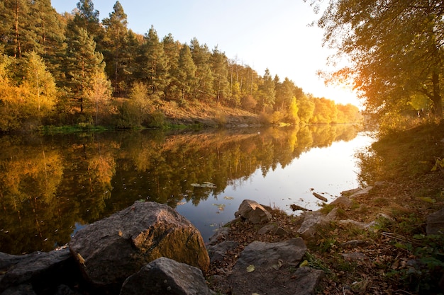 Schöner Herbst am Flussufer in der Nähe des Waldes