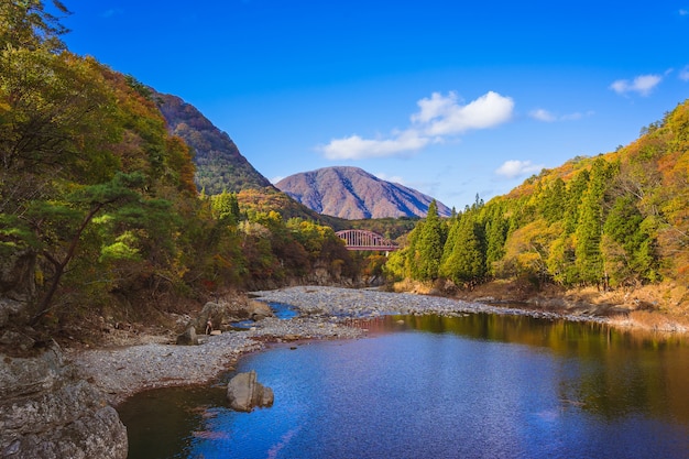 Foto schöner herbst bei tonohetsuri, aizuwakamatsu, japan