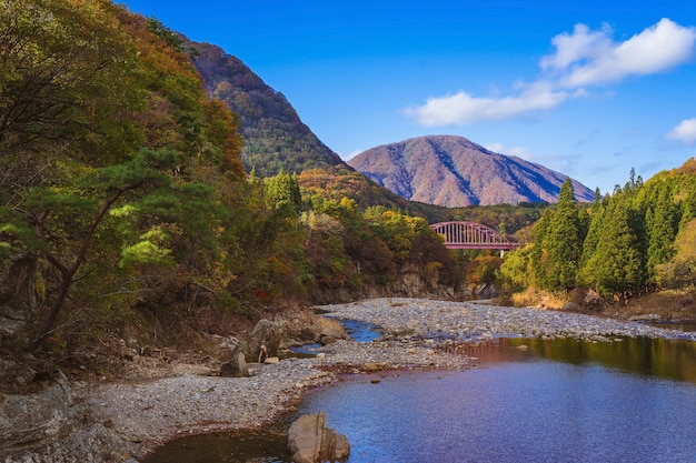 Schöner Herbst bei Tonohetsuri, Aizuwakamatsu, Japan