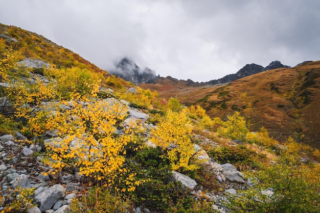 Schöner Herbst in den Bergen