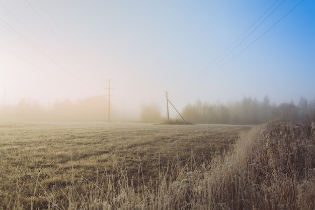 Schöner Herbstmorgen mit Nebel und Reif auf dem Gebiet.