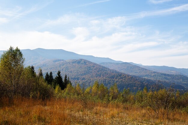 Schöner Herbstnachmittag in den Bergen. Bäume am Rande eines Hügels in Herbstfarben