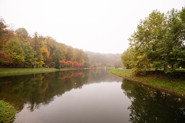 schöner Herbstpark bei Nebelwetter