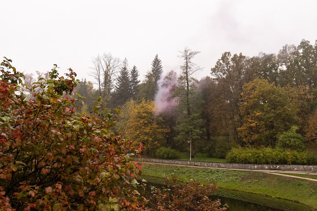 schöner Herbstpark bei Nebelwetter