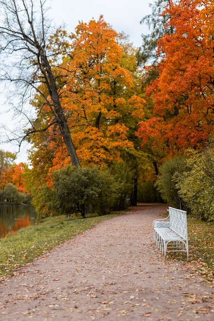 Schöner Herbstpark bei sonnigem Wetter