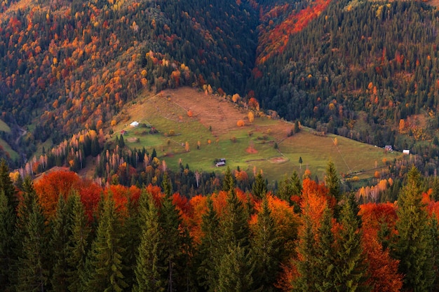 Schöner Herbstwald in den Bergen bei Sonnenuntergang