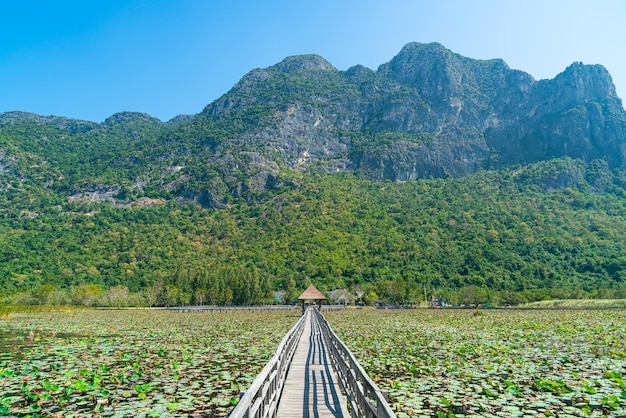 schöner Holzweg im Sam Roi Yot Freshwater Marsh oder Bueng Bua Khao Sam Roi Yot Nationalpark in Thailand