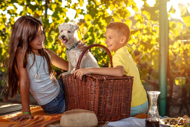 Schöner junger lächelnder Bruder und Schwester mit ihrem Hund, der Picknick an einem Weinberg hat.