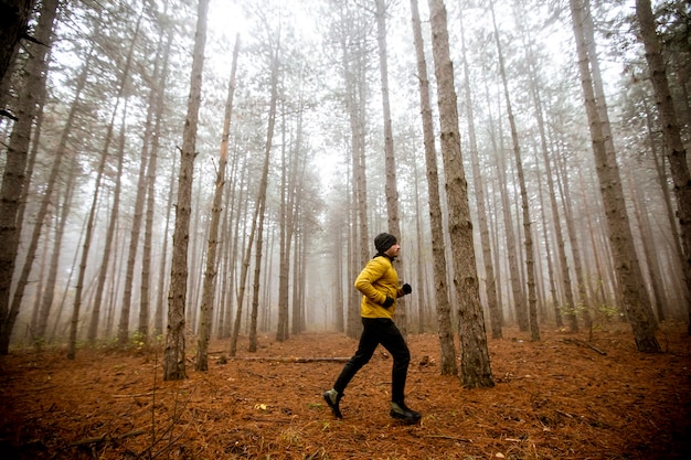 Schöner junger Mann, der im Herbstwald läuft und für Trailrun-Marathon-Langstreckenrennen trainiert