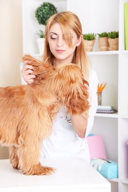 Schöner junger weiblicher Tierarzt, der Hund in Klinik untersucht
