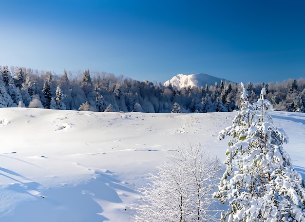 Schöner kalter Wintermorgen mit Schnee-Hintergrund, Bäumen, Wald und Berg im Hintergrund