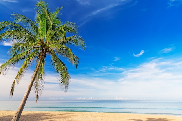 Schöner karon-strand in phuket, thailand. asien