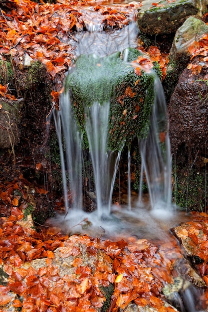 Schöner Kaskadenwasserfall im Herbstwald