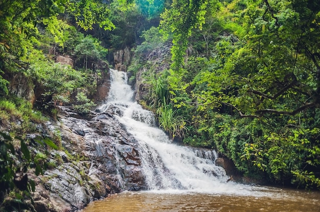 Schöner kaskadierender Datanla-Wasserfall in der Bergstadt Dalat, Vietnam