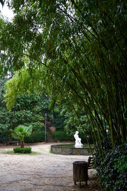 Schöner kleiner Teich mit Lilien im botanischen Garten Tiflis Tiflis Georgia