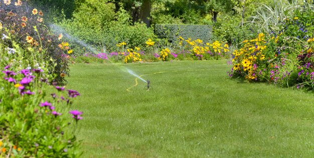 Schöner landschaftlich gestalteter Garten, der im Sommer wässert