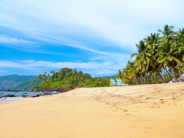 Schöner Landschaftsstrand in Goa in Indien