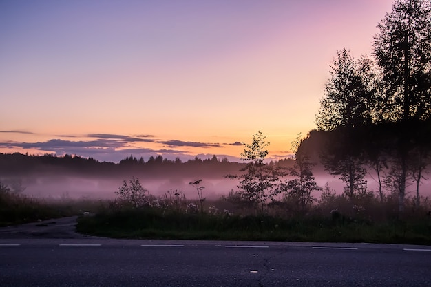 schöner lila und rosa Nebel im Wald bei Sonnenuntergang in der Natur