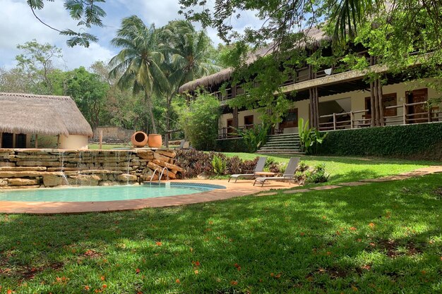 Schöner malerischer natürlicher Ort in einem tropischen Park Urlaub im Öko-Hotel im Wald Sommerreisen draußen
