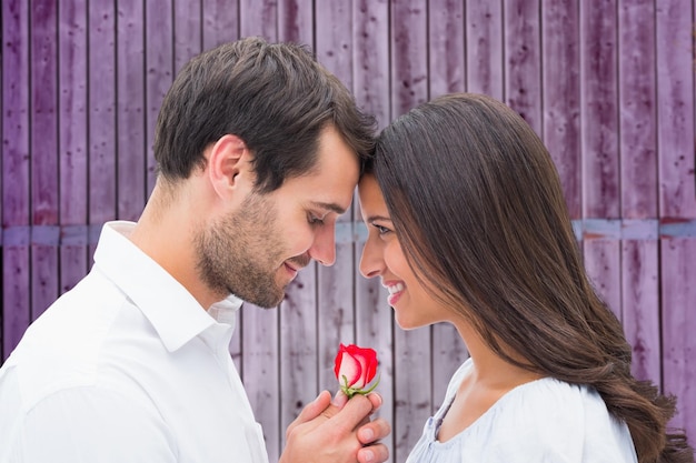 Schöner Mann, der seiner Freundin eine Rose vor hölzernem Hintergrund in Lila anbietet